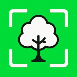 TreeDex: Tree Identifier