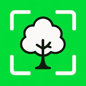 TreeDex: Tree Identifier