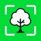 TreeDex is like collecting trading cards but for tree species