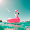 Imágenes de verano 2025 - Emilija Blagojevic