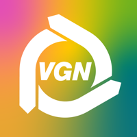 VGN flow