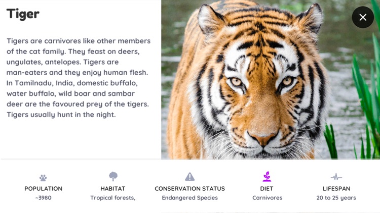 CardSkool screenshot-4