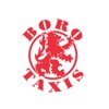 Boro Taxis icon