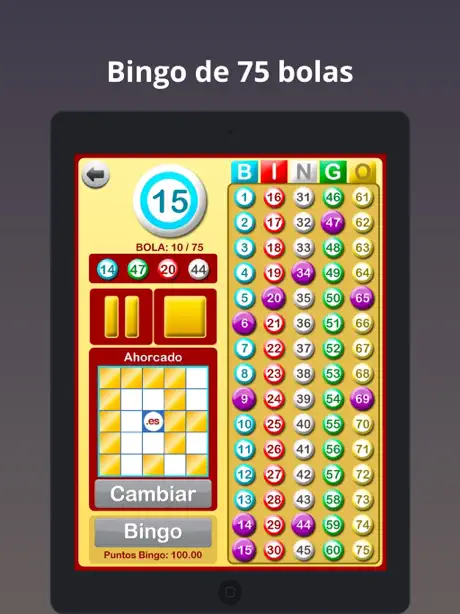 Bingo en Casa