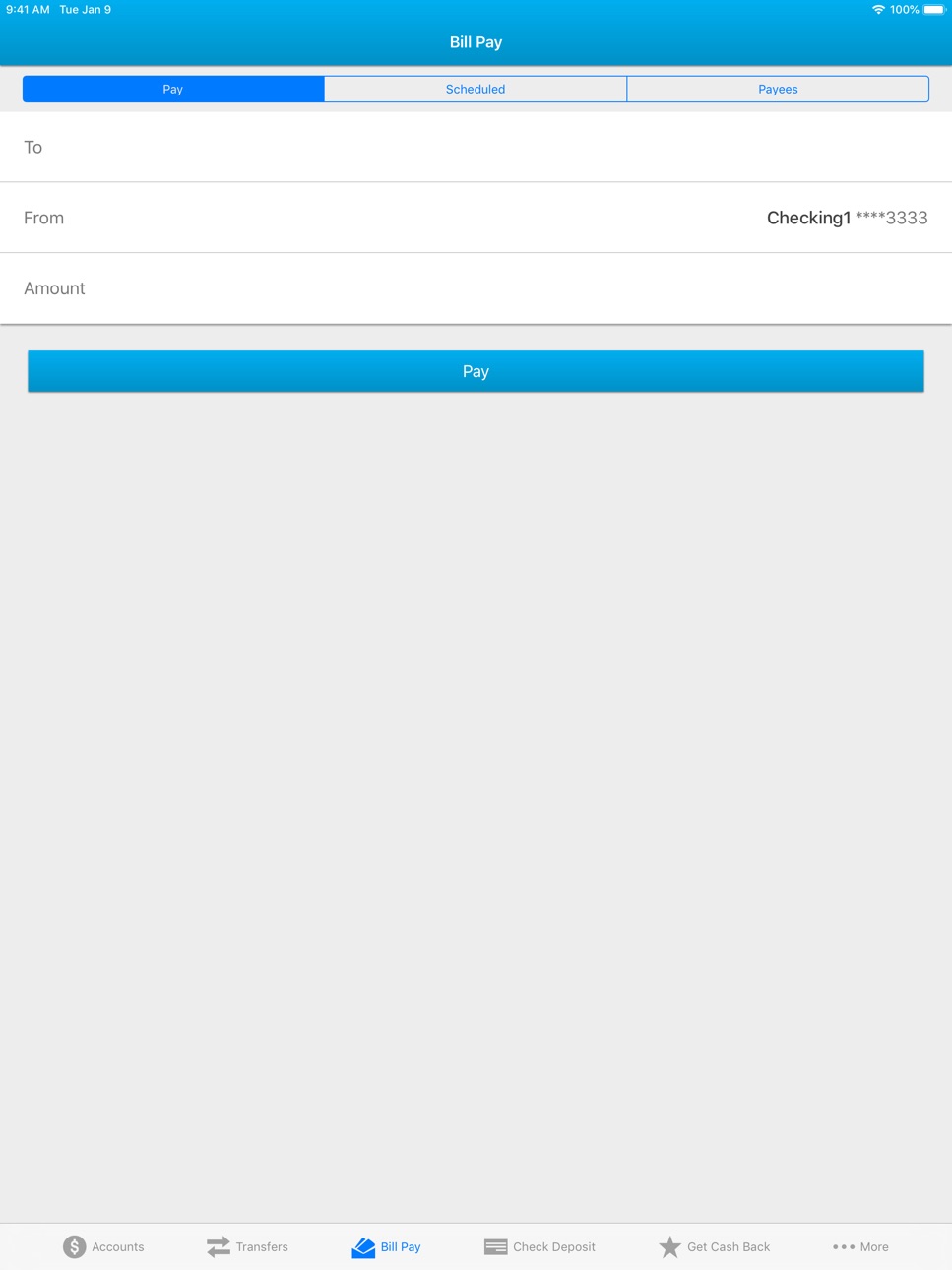 iPad screenshot
