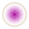 Welligama icon