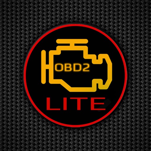 OBD2 LITE - Car Diagnostic OBD