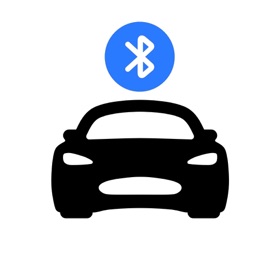 螢幕擷取畫面 (5) TSLA Keyfob - for Watch, Phone