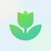 Plant App: Plant Identifier