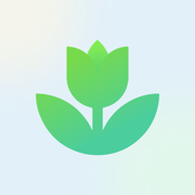 Plant App Identificador Planta