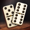 Domino Legends: Classic Game - Playvalve S.L.