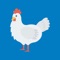 "Poultry Manager: Revolutionize Your Poultry Farming with Cutting-Edge ERP Software and IoT Integration