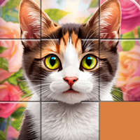 Jigsaw Sliding Puzzle Game