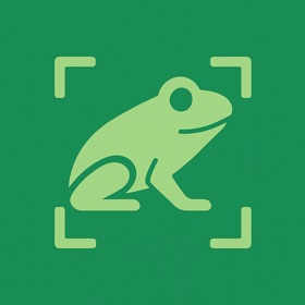 Frog Identifier