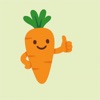 Healthy Food Advisor icon