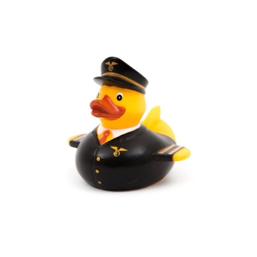 Duckling Pilot Stickers