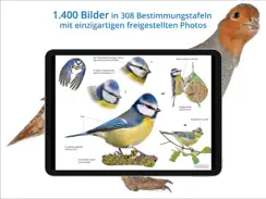 NABU Vogelwelt iPad image 4