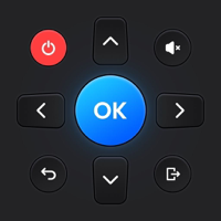 Universal TV Remote Control