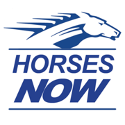 Horses NOW