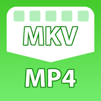 MKV to MP4 Converter