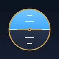 Logbook: Pilot Flight Log