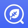 Get Allthings Identifier – Plant for iOS, iPhone, iPad Aso Report