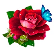 WishOK: Love message, stickers