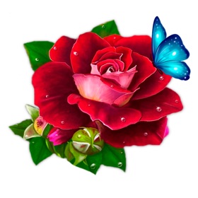 WishOK: Love message, stickers