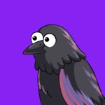 Download Raven: Slow Messaging app