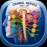 Cranial Nerves Plus - 앱 아이콘