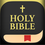 Bible: Accessible Widget, Chat