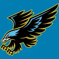 CJI Hawks