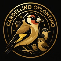 Cardellino Oplontino