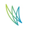 WordFlight Student icon