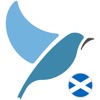 Bluebird: Learn Scots Gaelic icon