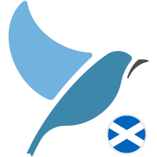 Bluebird: Learn Scots Gaelic icon