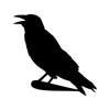 CrowsNest Card Game icon