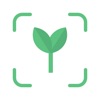 無料の植物識別アプリ