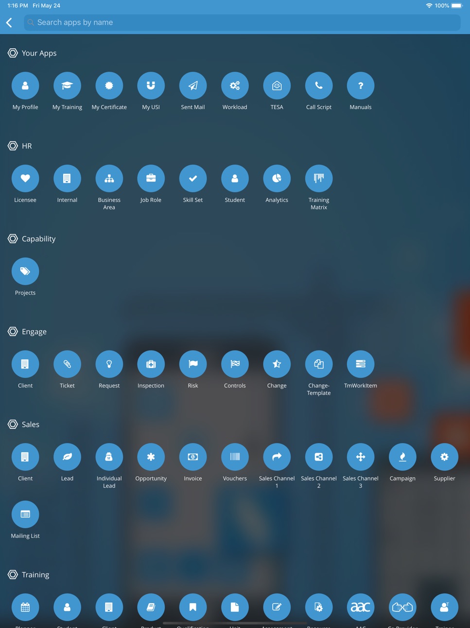 iPad screenshot