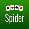 Spider Solitaire Classic icon