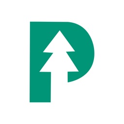 Pine Wealth