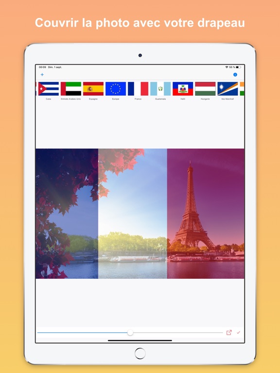 Screenshot #4 pour Country Flag Lite