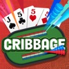 Cribbage+ - iPadアプリ