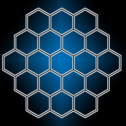 Hexagon Puzzles