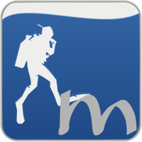 Subsurface-mobile logo
