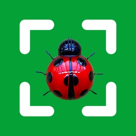 Easy Insect: Bug Identifier