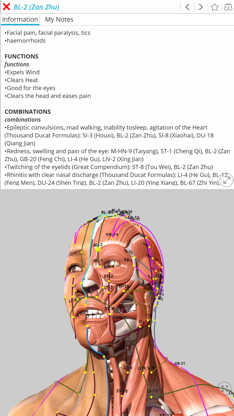 Visual Acupuncture 3D screenshot 1