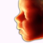 ScanBaby learn baby ultrasound