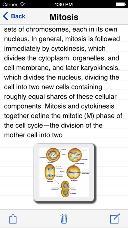 Brainfuse screenshot-6