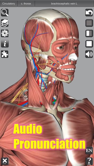 3D Anatomy Screenshot